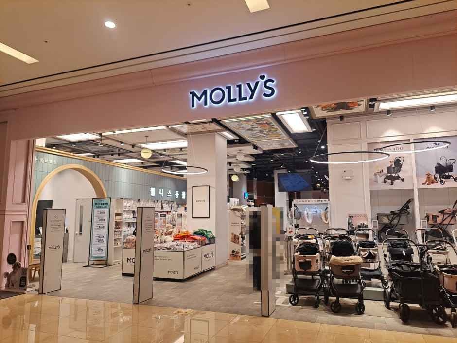 몰리스펫샵 스타필드 고양점