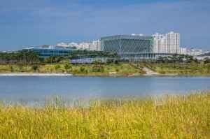 Sejong Lake Park (세종호수공원 일원)