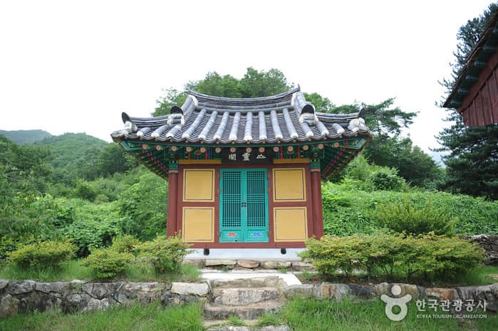 Photo 9