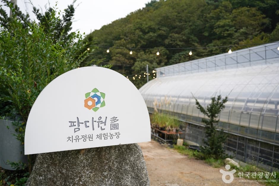 팜다원