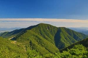 자굴산