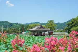 유등연지