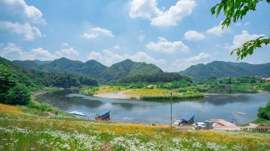 Cheongnyeongpo Scenic Spot (영월 청령포)