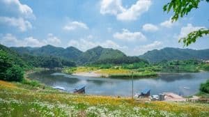Cheongnyeongpo Scenic Spot (영월 청령포)