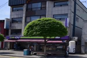 CU 단양스타점
