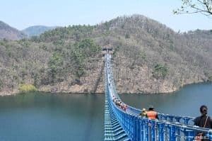 초평호 미르309 출렁다리