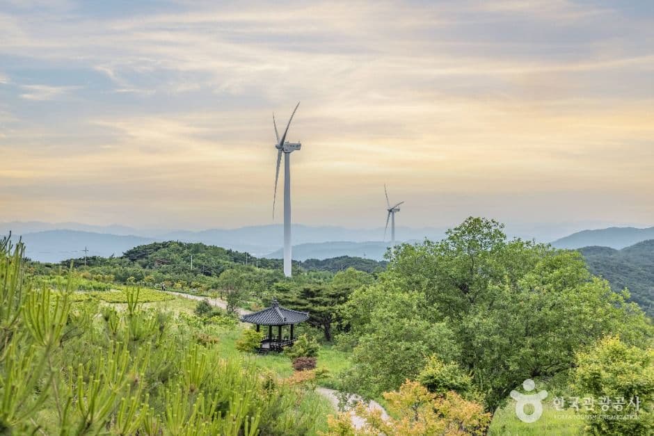 경주 풍력발전(바람의언덕)