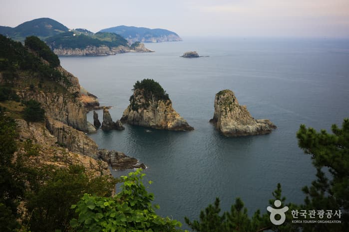 갈도