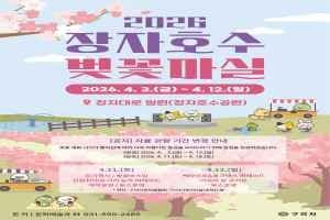 장자호수 벚꽃마실