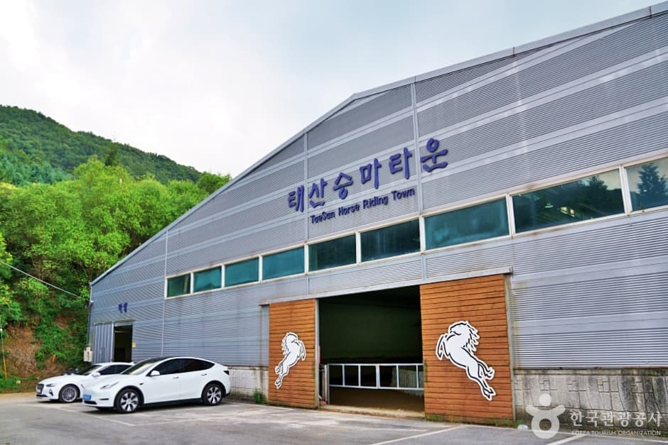 태산승마타운