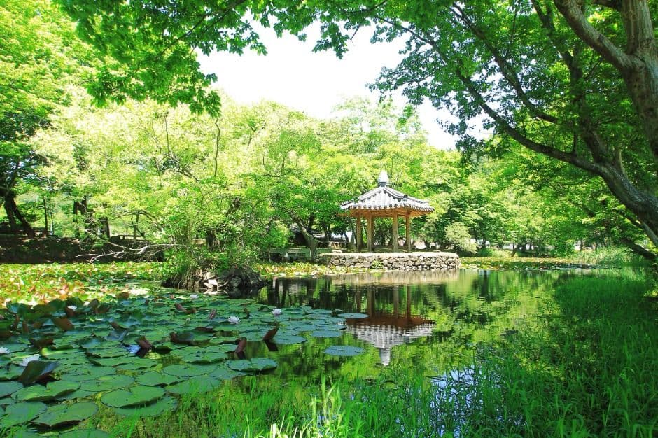 고성 장산숲