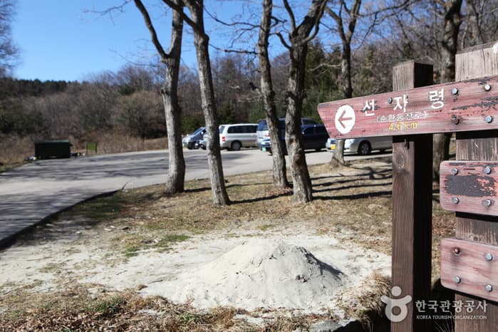 [강릉 바우길 1구간] 선자령 풍차길