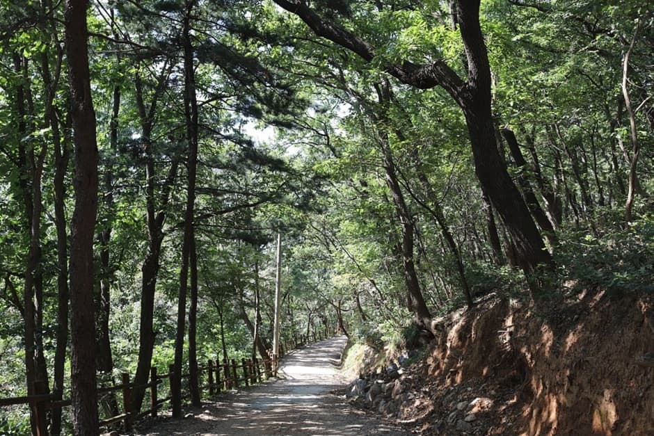 [군산 구불길] 구불3길 큰들길