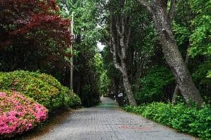 산호공원(용마공원) 시의거리
