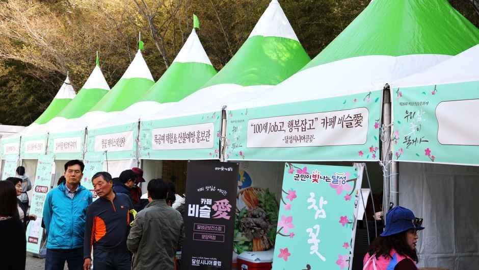 비슬산 참꽃문화제