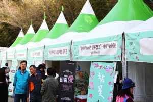 비슬산 참꽃문화제