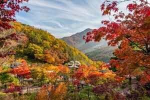 화담숲