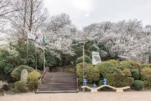 죽도봉공원
