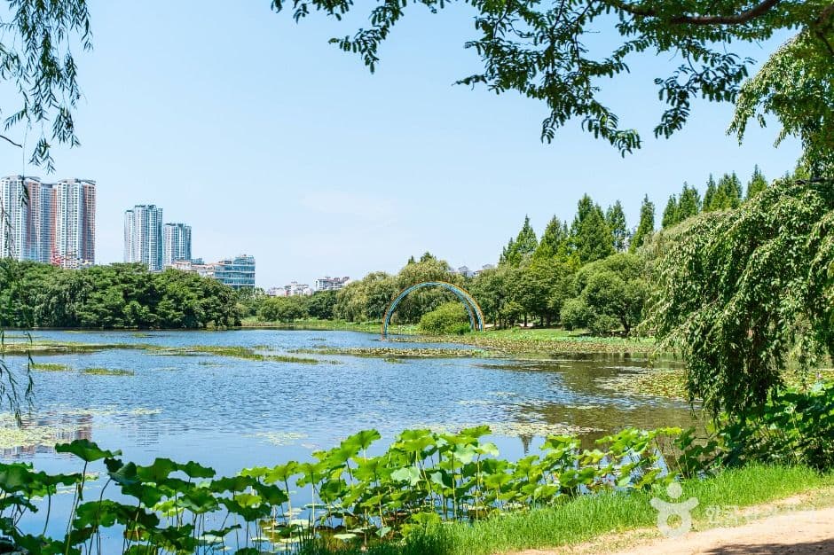 Ilsan Lake Park (일산호수공원)