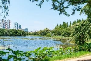 Ilsan Lake Park (일산호수공원)