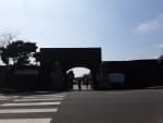 생각하는 정원