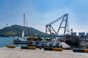 독정항