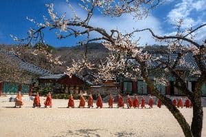 송광사(순천)