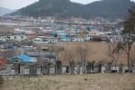 지도