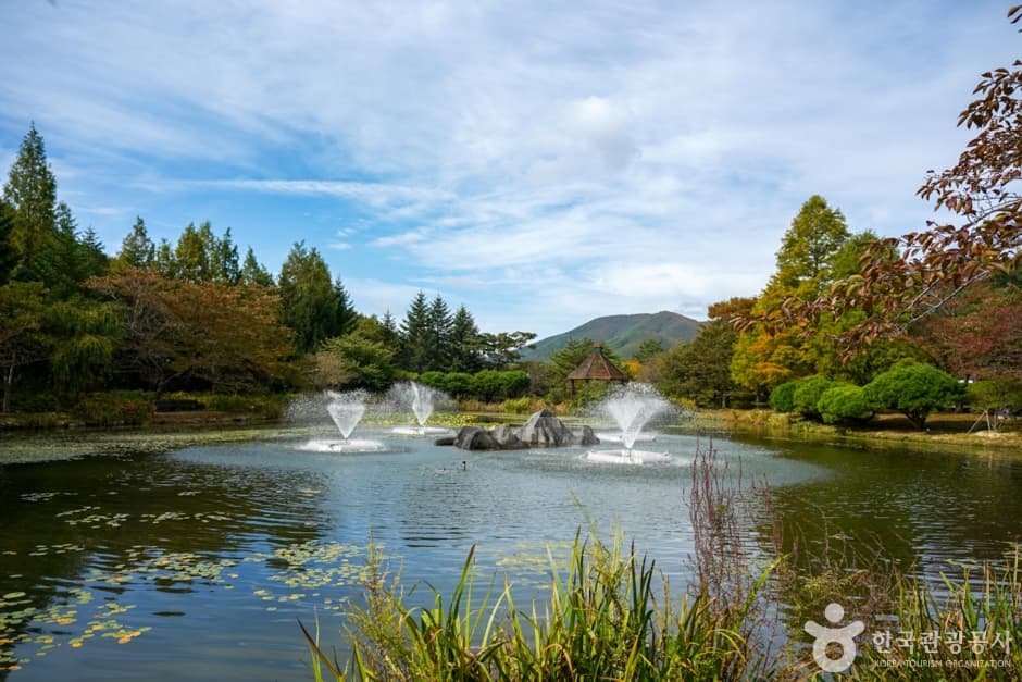 Gyeongsangbuk-do Arboretum (경상북도수목원)