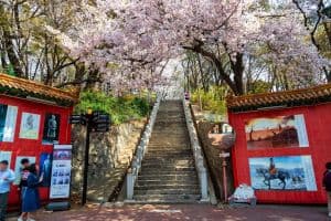 삼국지벽화거리