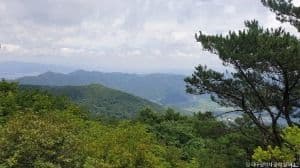 최정산