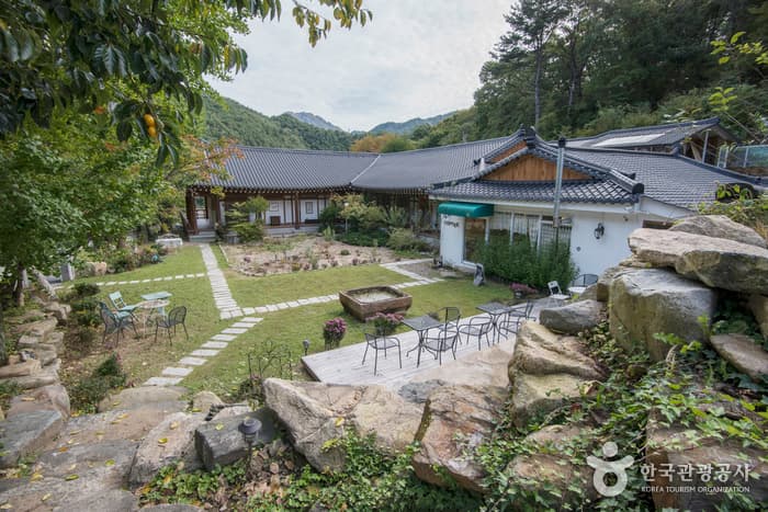 Dals Garden / 달의 정원