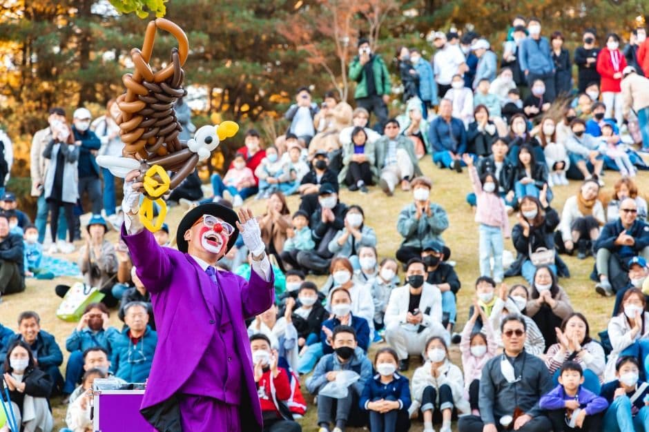 Chuncheon Mime Festival (춘천마임축제)