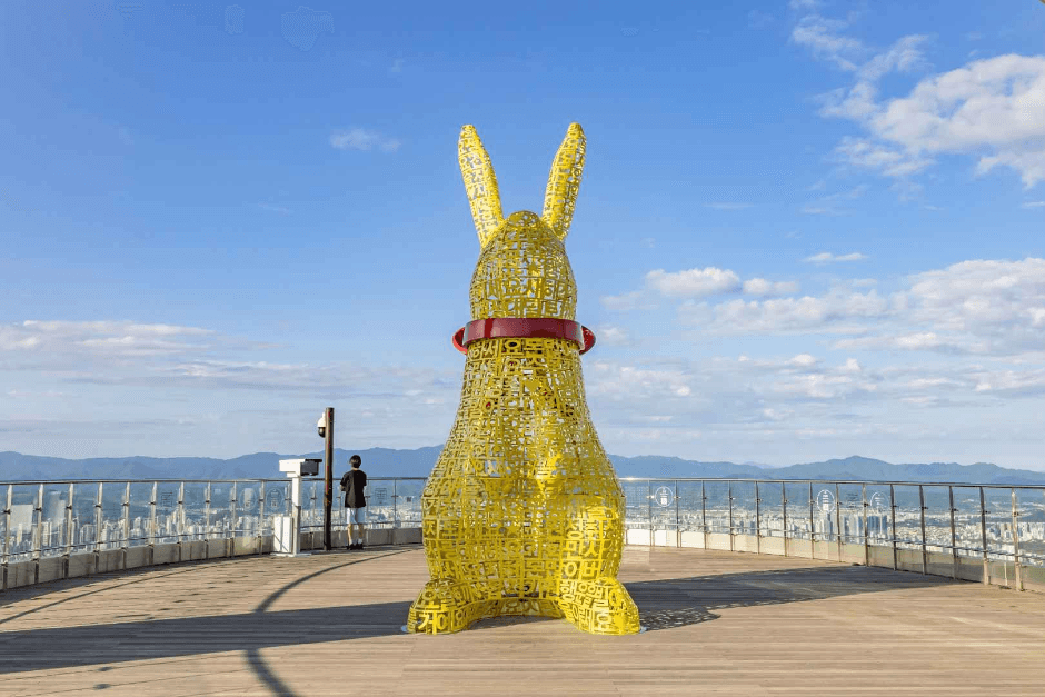 Apsan Cable Car (Apsan Observatory) (앞산 케이블카(앞산 전망대))