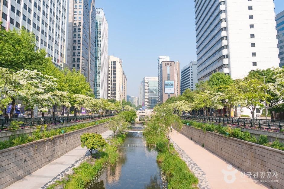 종로 청계 관광특구